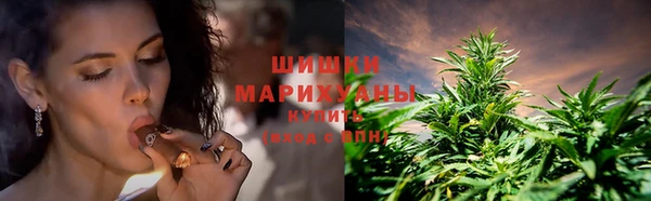 PSILOCYBIN Бронницы