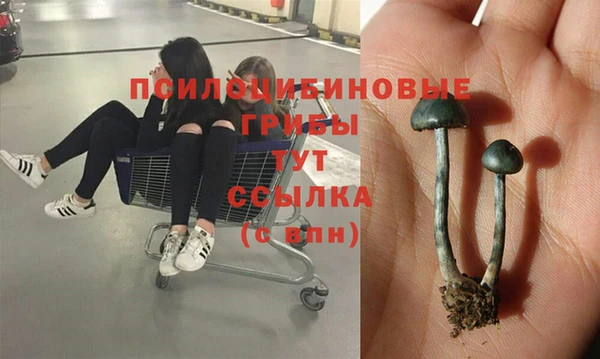 а пвп мука Бородино