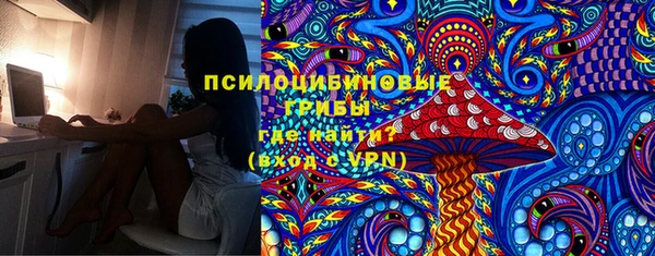 PSILOCYBIN Бронницы