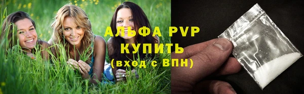 PSILOCYBIN Бронницы